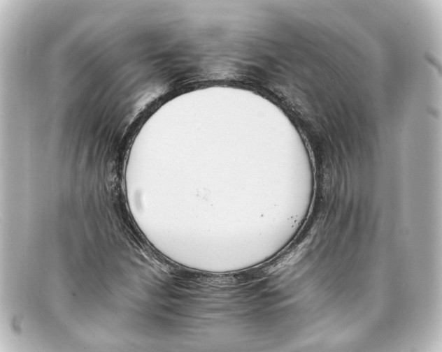 X0000098141210200805081012