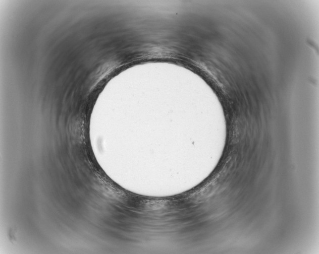 X0000098141211200805081012