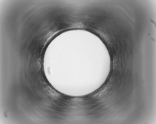 X0000098141212200805081012