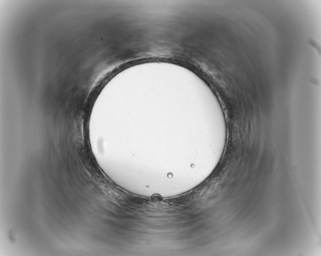 X0000098141214200805081012