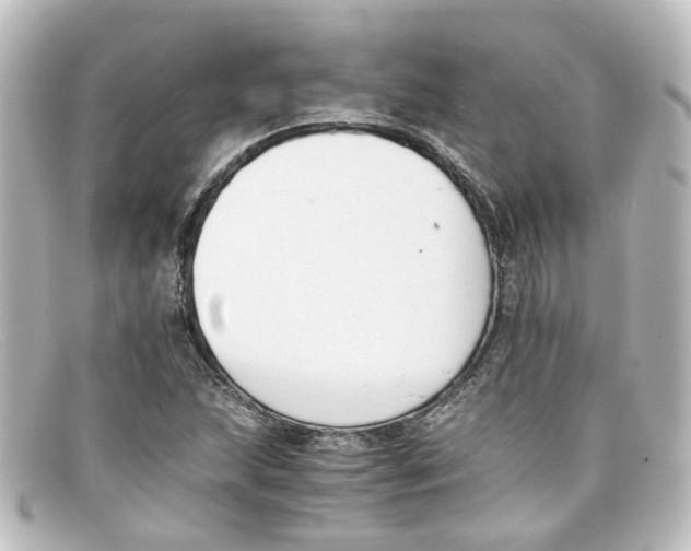 X0000098141215200805081012