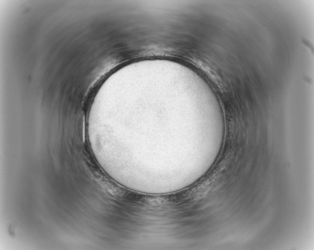X0000098141219200805081012