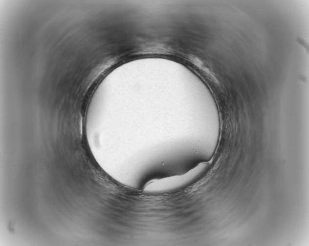 X0000098141221200805081012