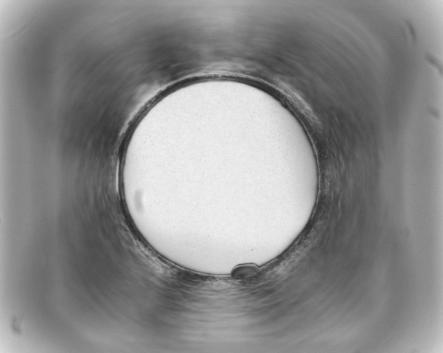 X0000098141224200805081012