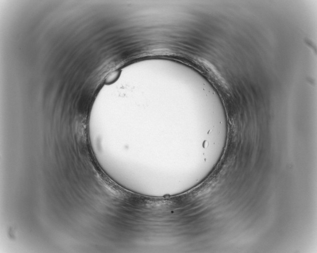 X0000098141225200805081012