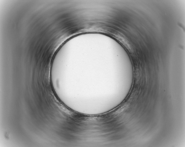 X0000098141228200805081013