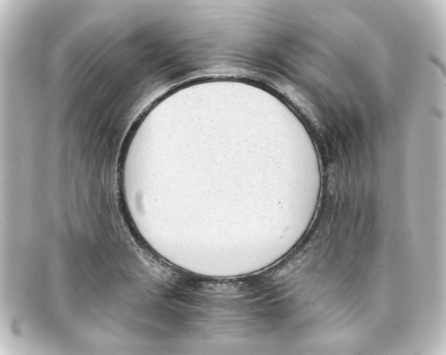 X0000098141229200805081013