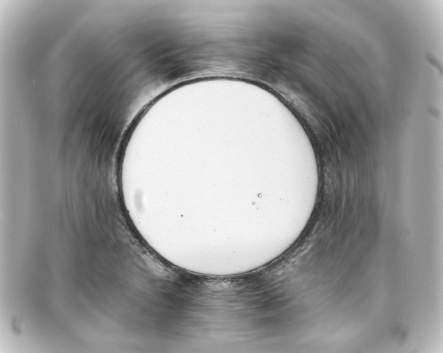 X0000098141230200805081013