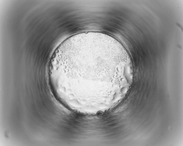 X0000098141243200805081013