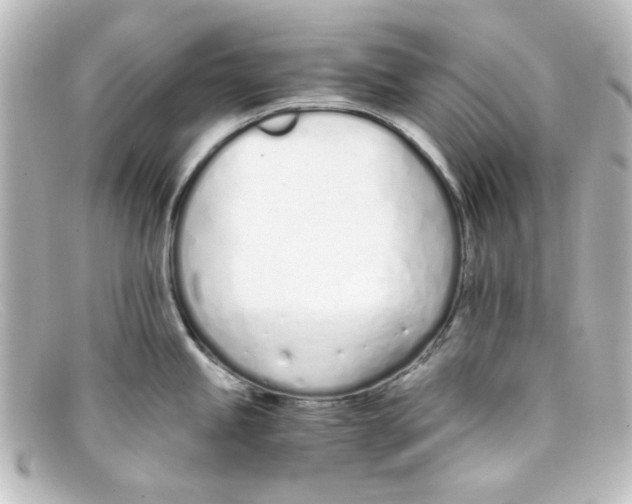 X0000098141245200805081013