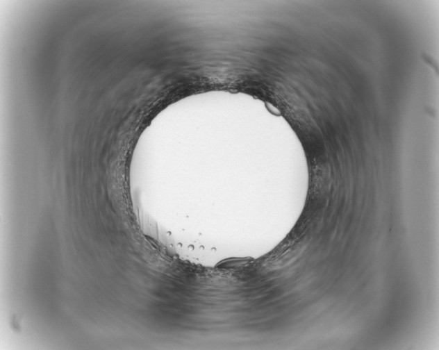 X0000098141249200805081012