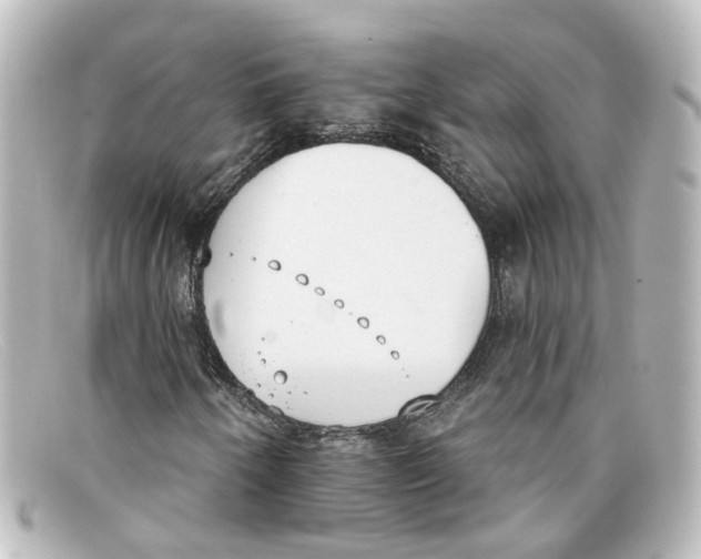 X0000098141250200805081012