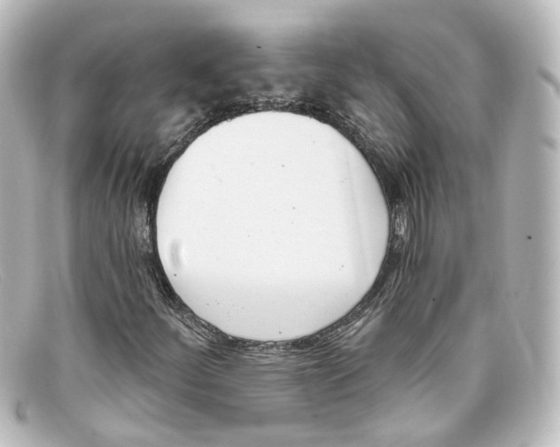 X0000098141252200805081012