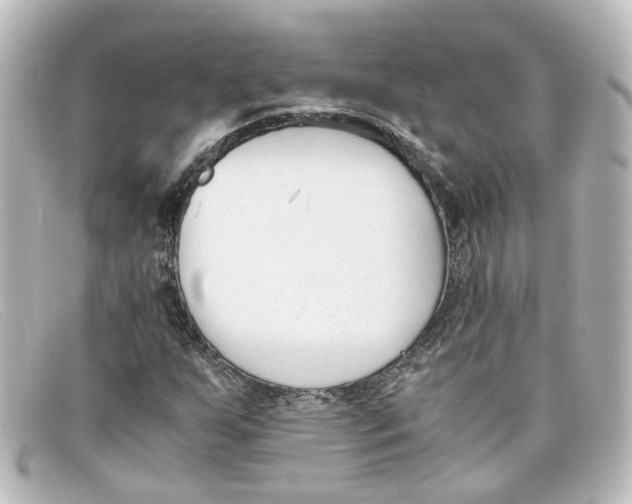 X0000098141255200805081012