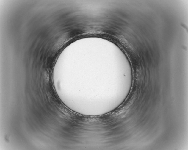 X0000098141257200805081012