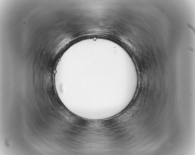 X0000098141259200805081012