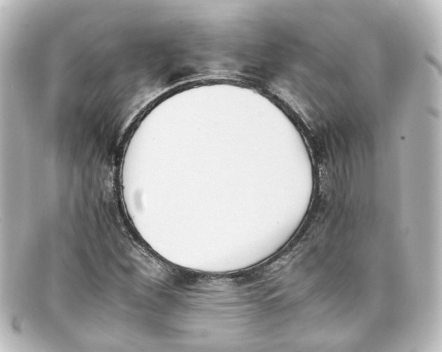 X0000098141260200805081012