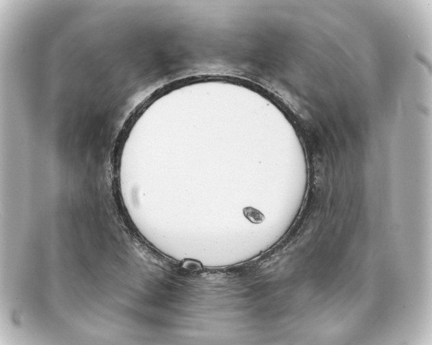 X0000098141264200805081012