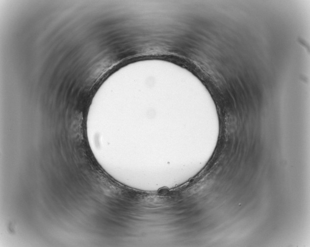 X0000098141265200805081012