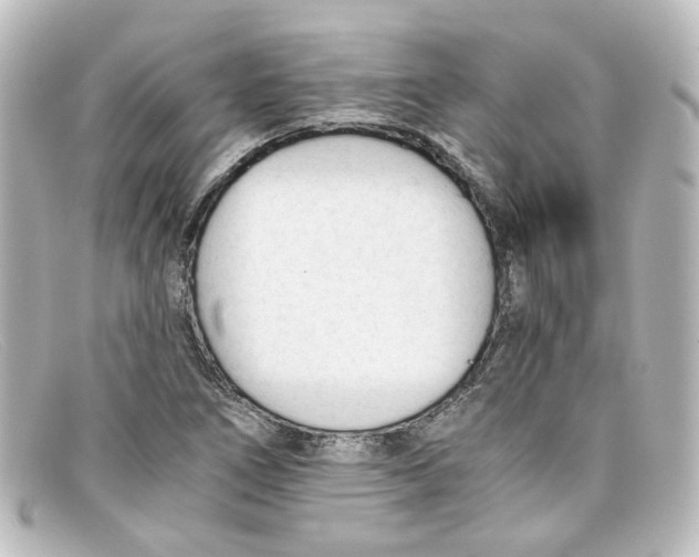 X0000098141266200805081012