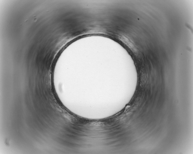 X0000098141268200805081012