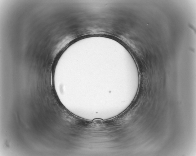 X0000098141269200805081012