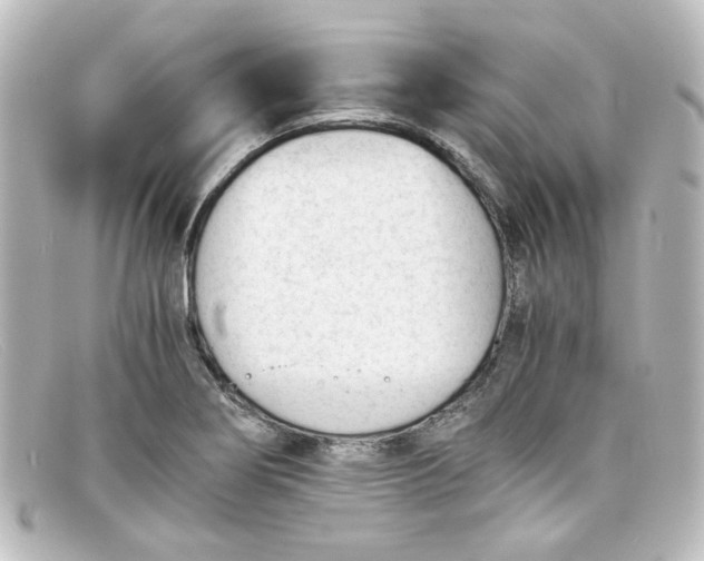 X0000098141274200805081012