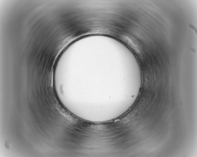 X0000098141276200805081012