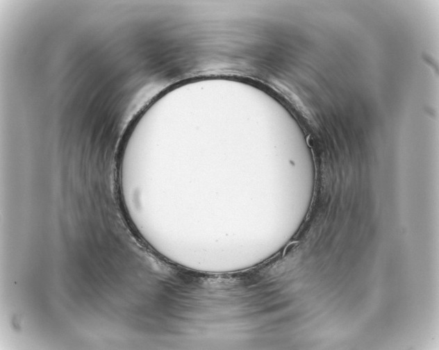 X0000098141277200805081012