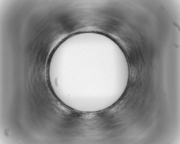 X0000098141278200805081012