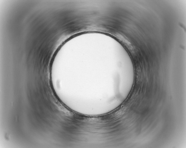 X0000098141280200805081012