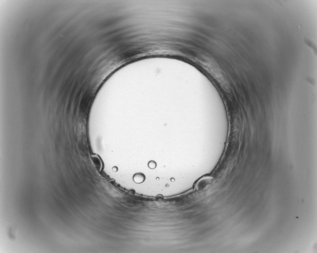 X0000098141281200805081012