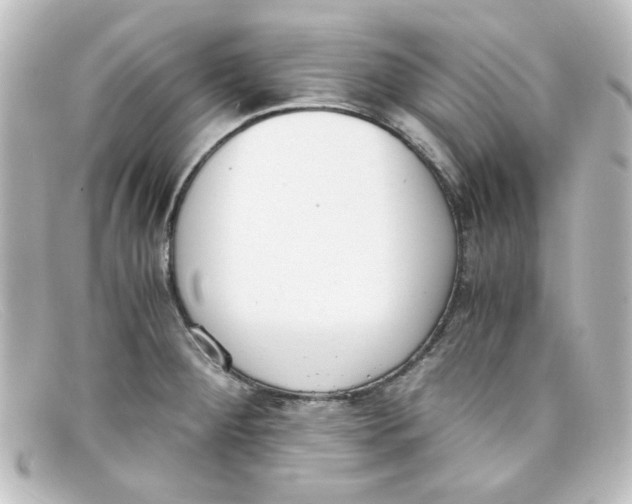 X0000098141284200805081012