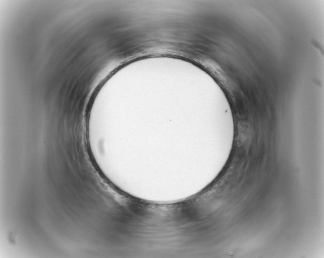 X0000098141286200805081012