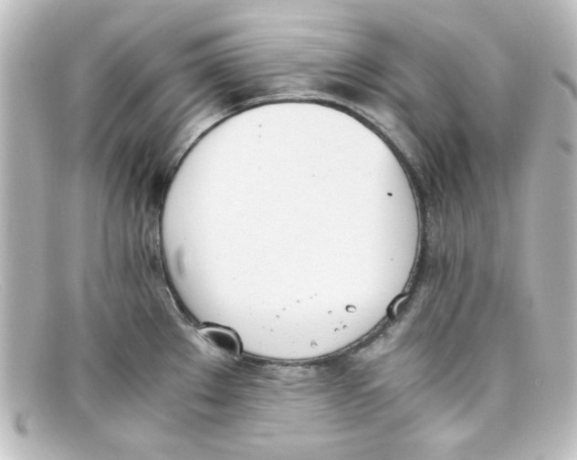 X0000098141289200805081012