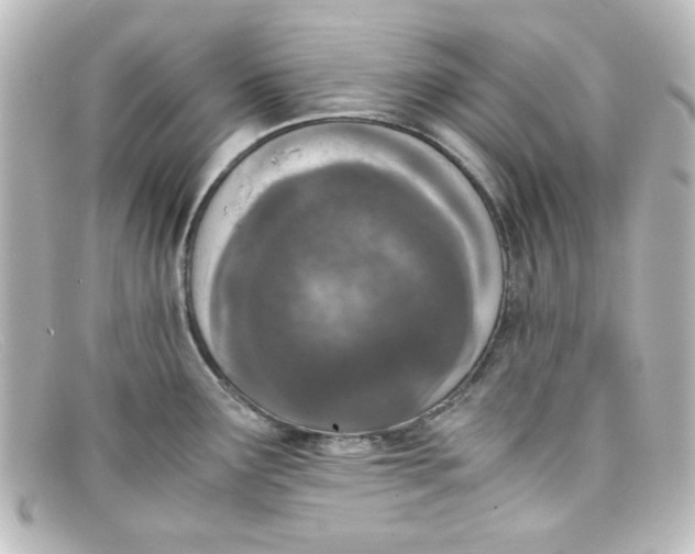 X0000098141291200805081012