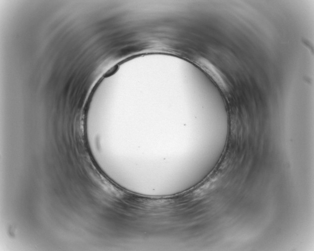 X0000098141292200805081012