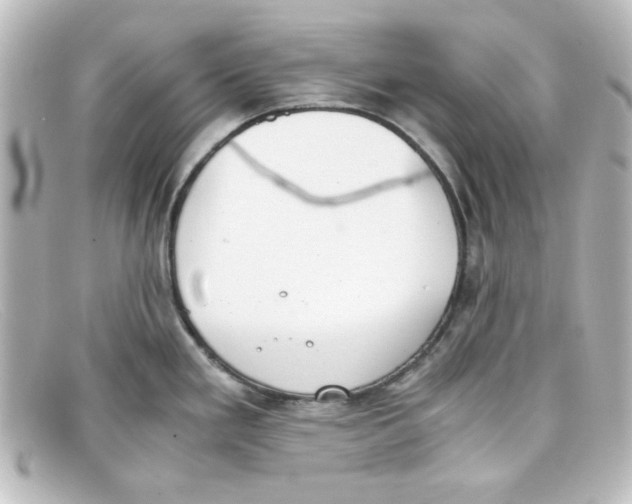X0000098141293200805081012