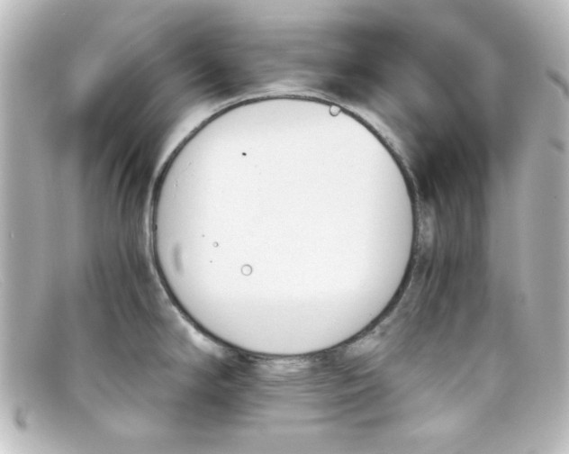 X0000098141294200805081012