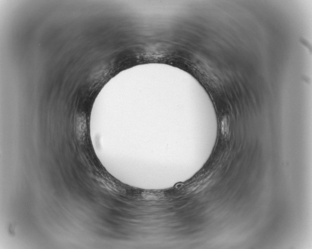 X0000098141299200805081011
