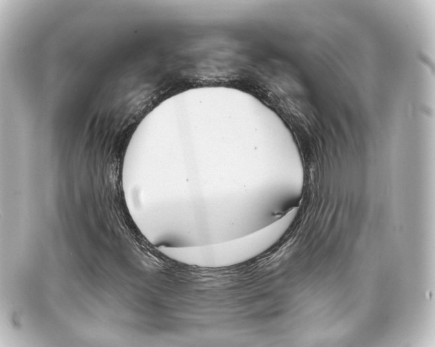 X0000098141300200805081011