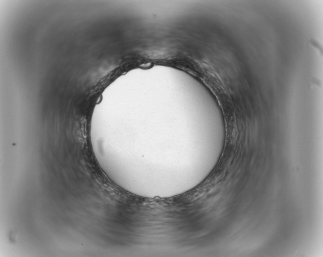 X0000098141301200805081011