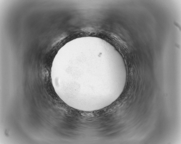 X0000098141302200805081011