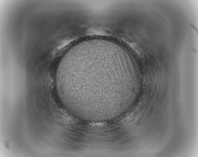 X0000098141303200805081011