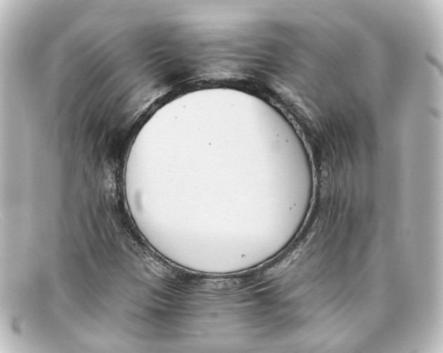 X0000098141305200805081011