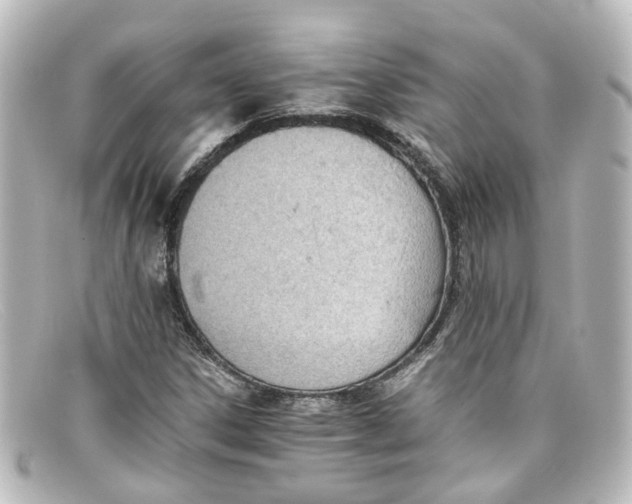 X0000098141306200805081011