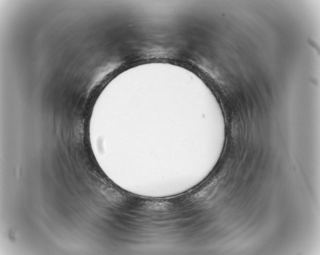X0000098141309200805081011