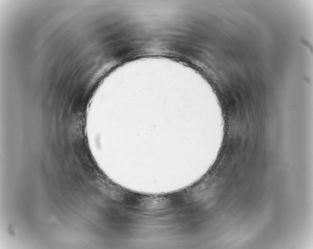 X0000098141314200805081011