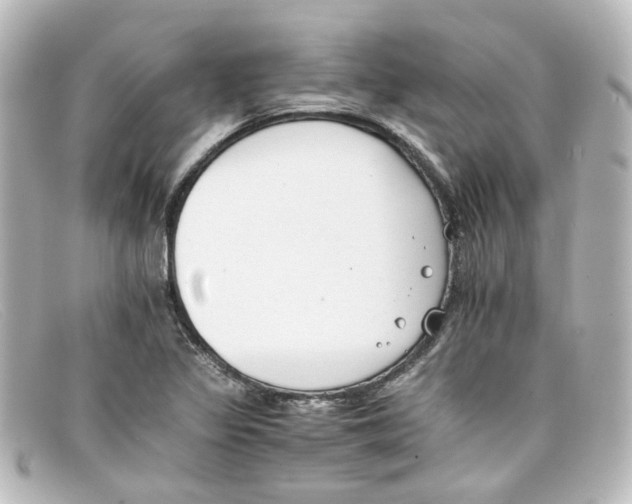 X0000098141317200805081011