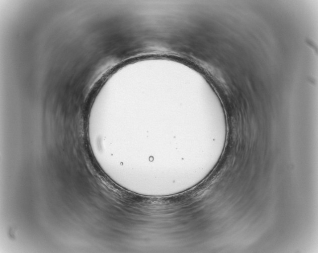 X0000098141318200805081011